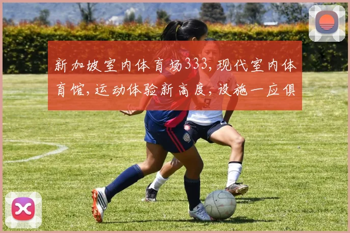新加坡室内体育场333,现代室内体育馆,运动体验新高度,设施一应俱全