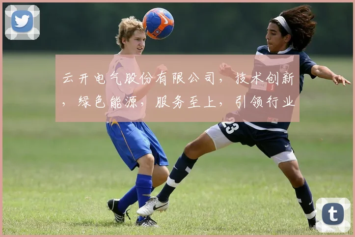 云开电气股份有限公司，技术创新，绿色能源，服务至上，引领行业新潮流
