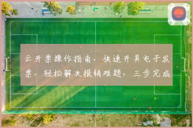 云开票操作指南，快速开具电子发票，轻松解决报销难题，三步完成，效率提升，安全可靠，一站式服务。
